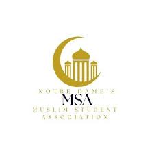 The old MSA logo