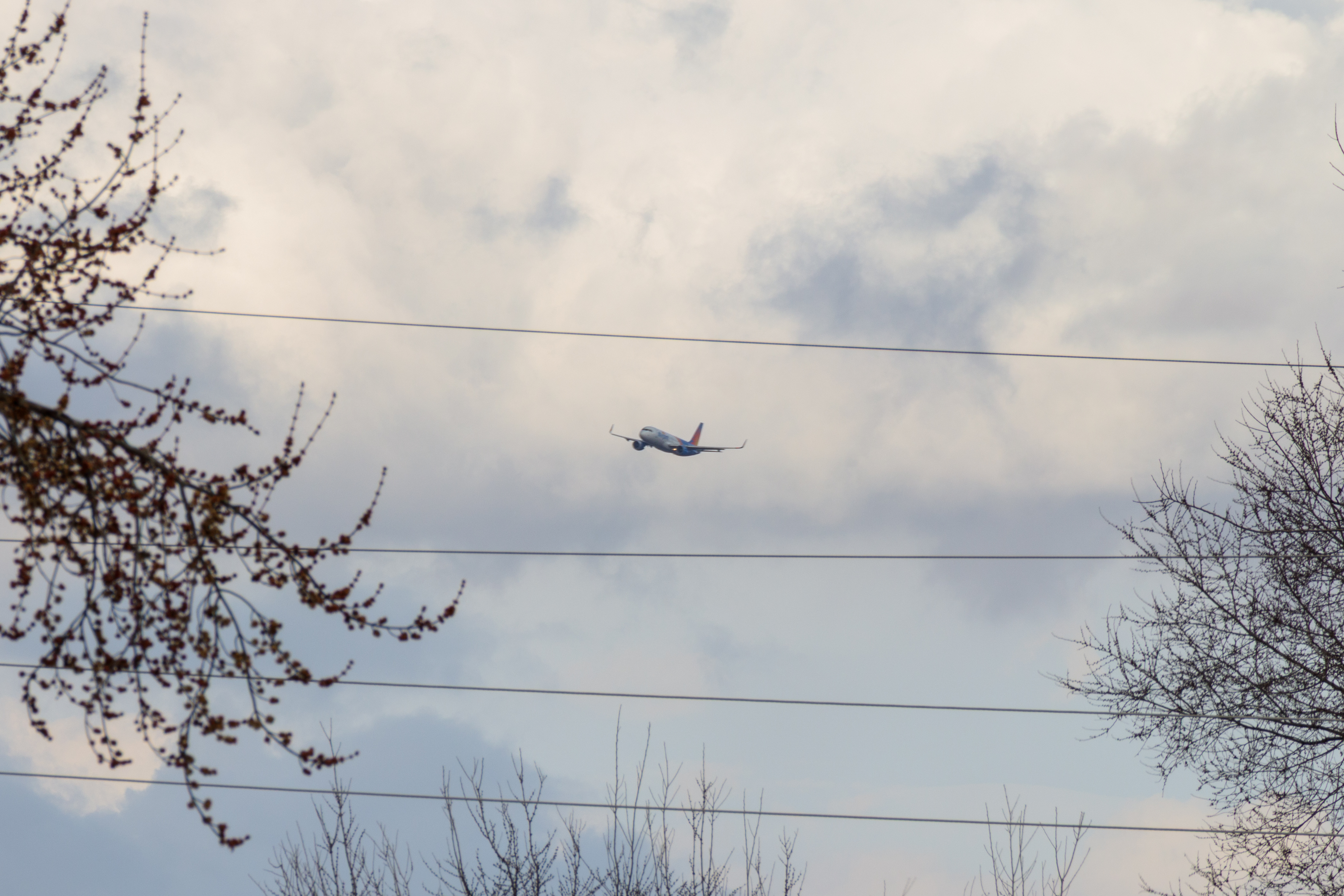 An airplane flying over power lines and bare branches